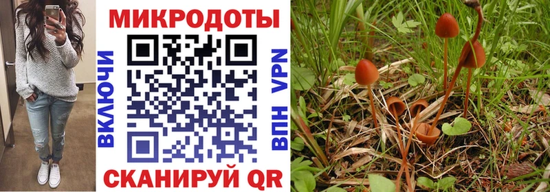 МЕГА маркетплейс  Руза  Галлюциногенные грибы Cubensis 